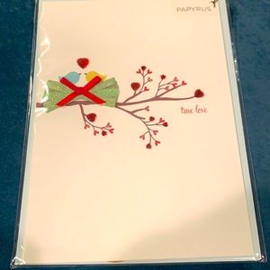 Valentine’s Day card with envelope by Papyrus NWT